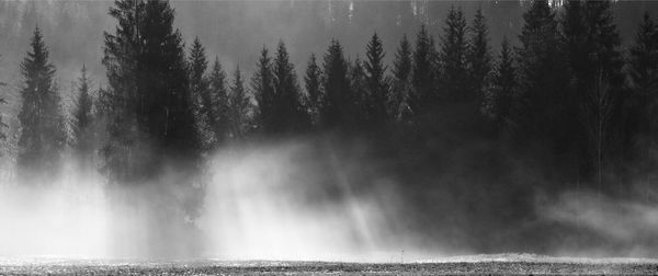 Panoramic view of waterfall in forest