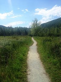 Road passing through grassy field