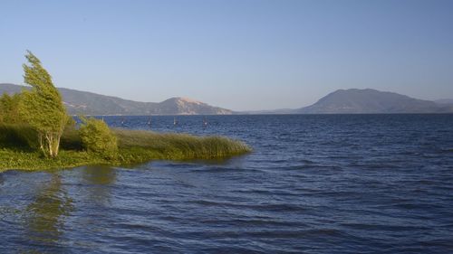 Scenic view of lake against clear sky