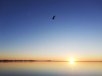 Birds flying over lake against clear sky during sunset