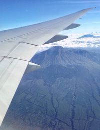 Cropped image of airplane flying over landscape