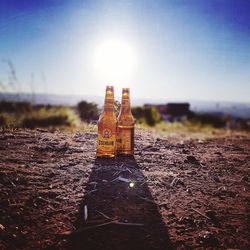 Close-up of beer bottle on field against sky