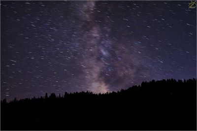 Low angle view of star field against star field