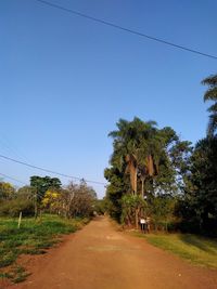 Road amidst trees against clear blue sky