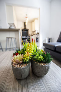 Potted plants on table at home