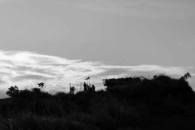 Panoramic view of trees on field against sky