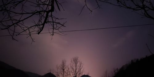 Low angle view of silhouette trees against sky at sunset