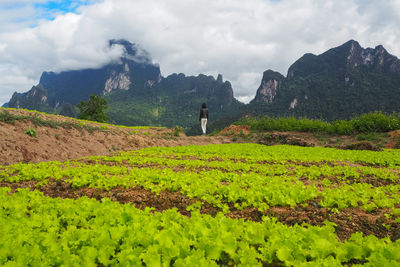 Scenic view of landscape against cloudy sky