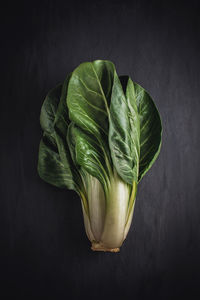 Close-up of green leaf on table against black background