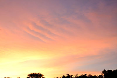 Low angle view of silhouette trees against orange sky