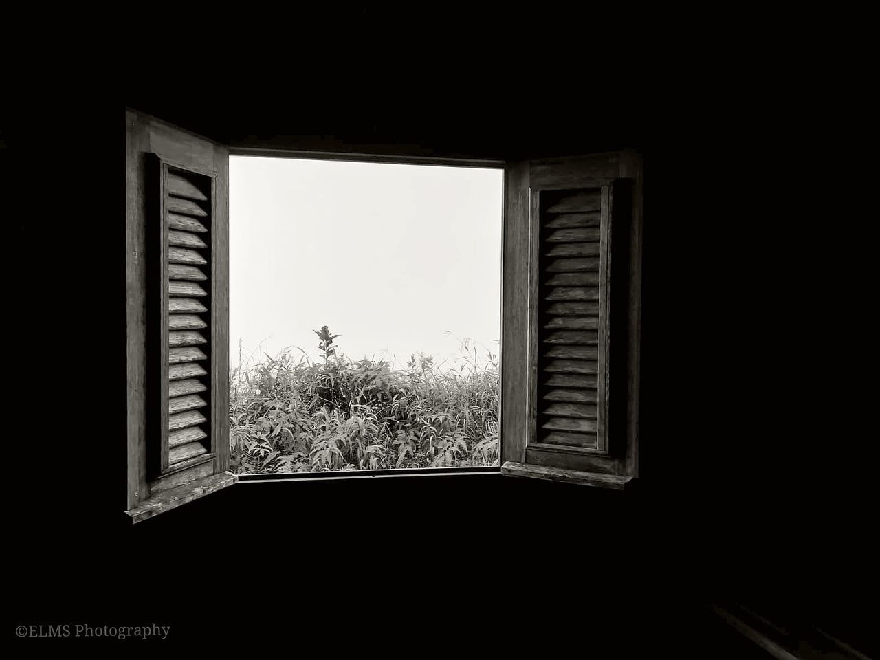 window, architecture, built structure, building, glass - material, indoors, plant, no people, transparent, nature, house, day, tree, sky, dark, open, sunlight