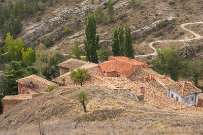 High angle view of trees on mountain