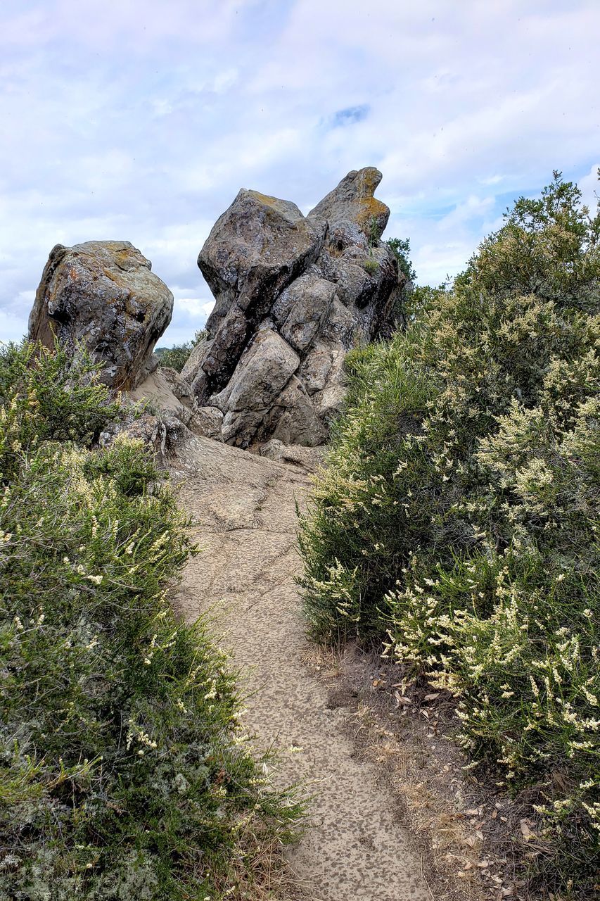 plant, rock, sky, nature, cloud, tree, mountain, land, scenics - nature, no people, travel destinations, landscape, beauty in nature, terrain, environment, travel, outdoors, non-urban scene, cliff, trail, day, ridge, tranquility, history, tourism, geology, rock formation, the past, ruins, tranquil scene, footpath, green, growth, architecture