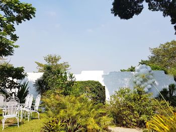 Trees growing by plants against sky