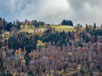 Trees on field against sky during autumn