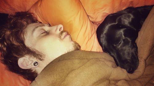 Close-up of dog sleeping on bed at home