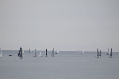 Sailboats in sea against clear sky