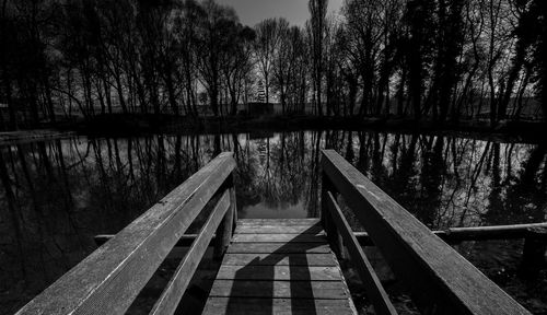 Reflection of trees in calm lake in forest