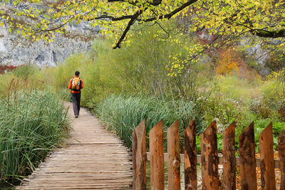 Man walking in park