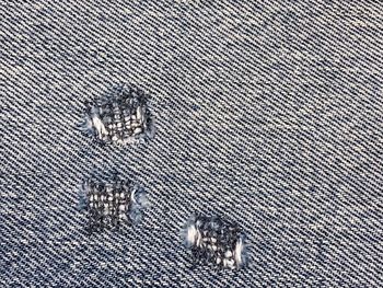 High angle view of cat on wall