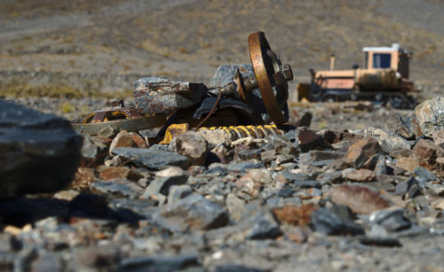 Close-up of stones on field