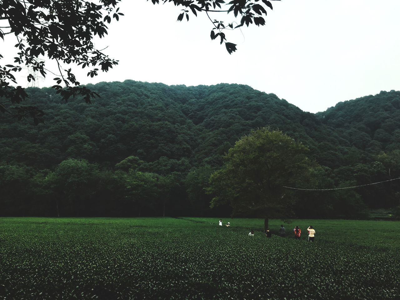 SCENIC VIEW OF LAND AGAINST SKY