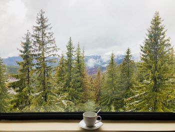 White cup with spoon placed on plate near a window through which you can see a forest 