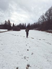 Rear view of person standing on snow covered land