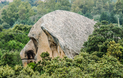 Close-up of horse on rock against sky