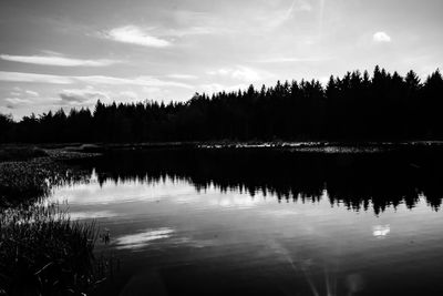 Scenic view of lake in forest against sky