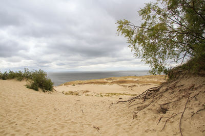 Scenic view of beach against sky