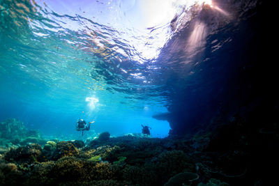 People swimming in sea