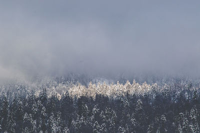 Scenic view of snow covered land against sky