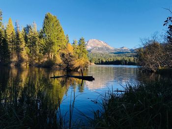 Scenic view of lake in forest against clear sky