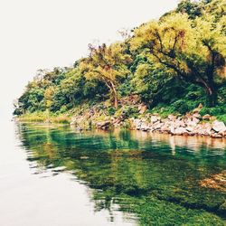 Scenic view of lake against clear sky