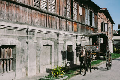 Graffiti on wall of building
