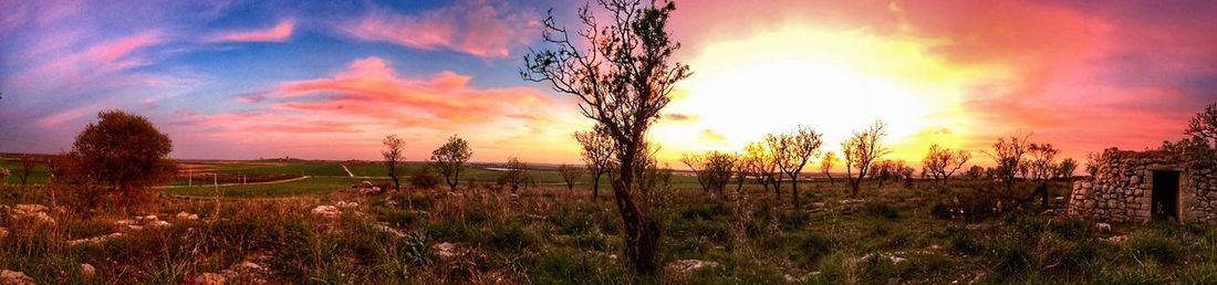 Scenic view of field against sky during sunset