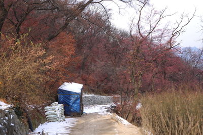 Rear view of man standing by bare trees in water