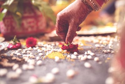 Close-up of hand on red flowering plant