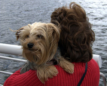 Rear view of woman holding yorkshire terrier against sea