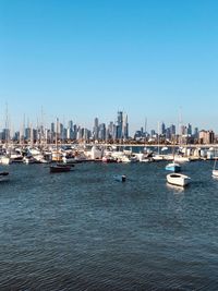 Sailboats in marina by sea against clear sky in melbourne