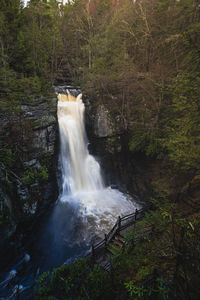 High angle view of waterfall in forest