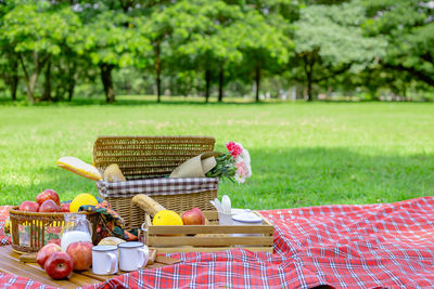 Fruits in basket on picnic blanket at park