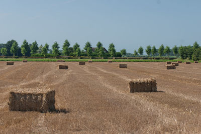 Hay bales on field against clear sky