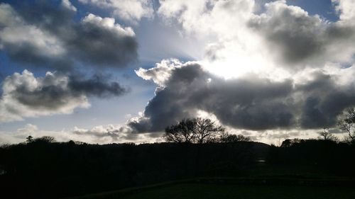 Silhouette trees on field against sky