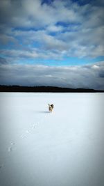 Scenic view of frozen lake against sky during winter