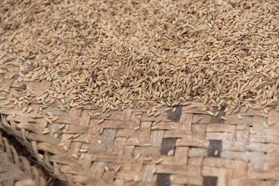 Close-up of bread