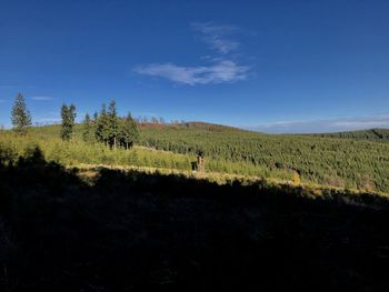 Scenic view of field against blue sky