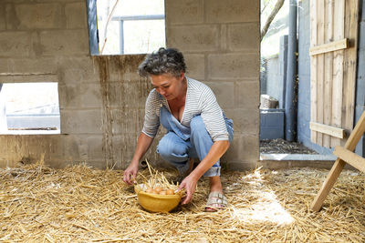 Mature farm owner collecting eggs in bowl from chicken coop