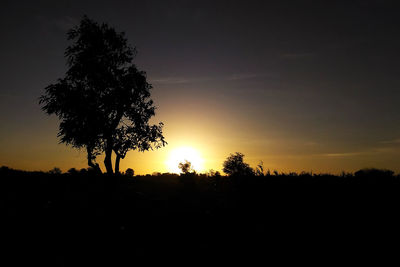 Silhouette trees on landscape against sky at sunset